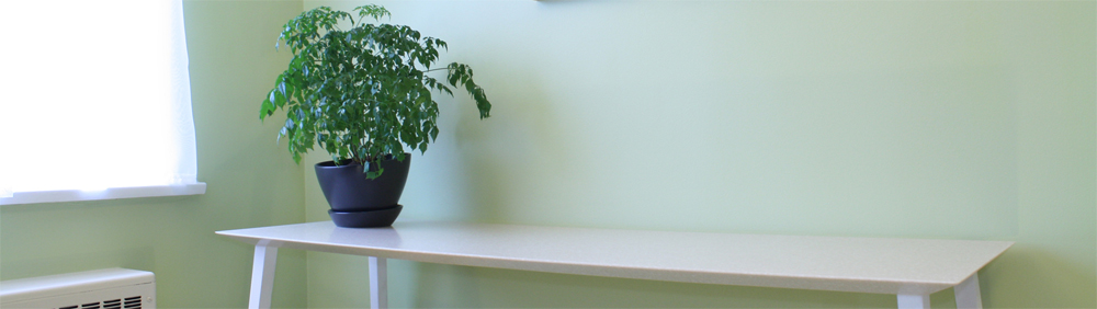 Custom Countertops and Home Furnishings