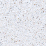 Honey-Crunch Avonite Solid Surface Vancouver